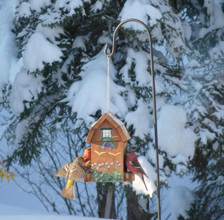 Gite De La Riviere Chibougamau Exterior foto